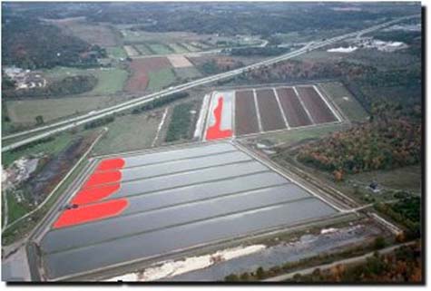 Cranberry Central